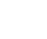 WTT 29 years celebration logo